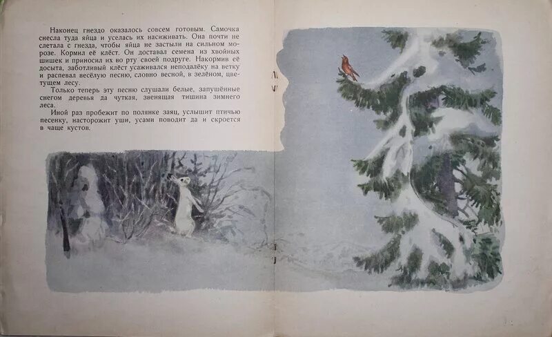 Скребицкий рассказы о животных зимой. Весне навстречу — скребицкий г.. по г скребицкому зима. скребицкий первый снег. весне навстречу скребицкий иллюстрация.