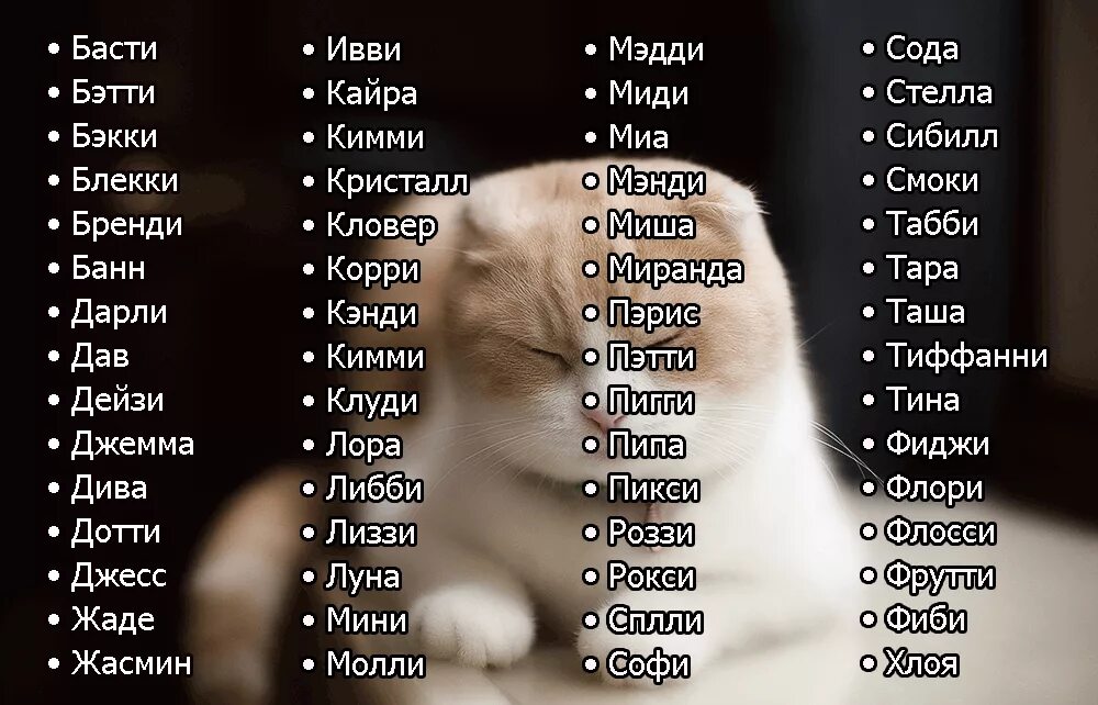 Как лучше всего назвать