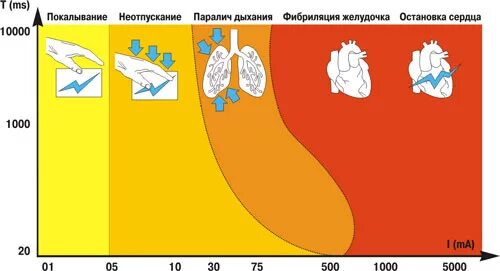 Время воздействия электрического тока. Последствия воздействия электрического тока. Воздействие электрического поля на организм. Воздействие электрического тока на организм человека. Электростатическое поле влияние на организм человека.