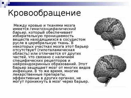 Ткани мозга