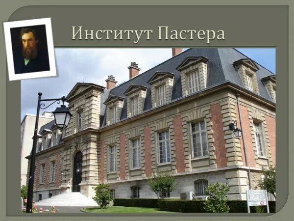 Центр пастера. Институт луи пастера в париже. пастеровский институт в париже 1888. института пастера 19 век. университет луи пастера 19 век.