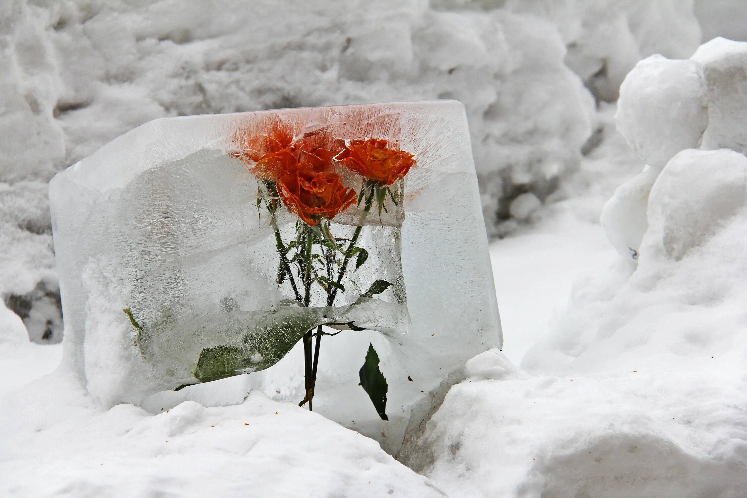 Под снегом лед был