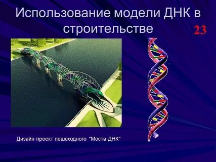 Монтагем бионика еспектрал