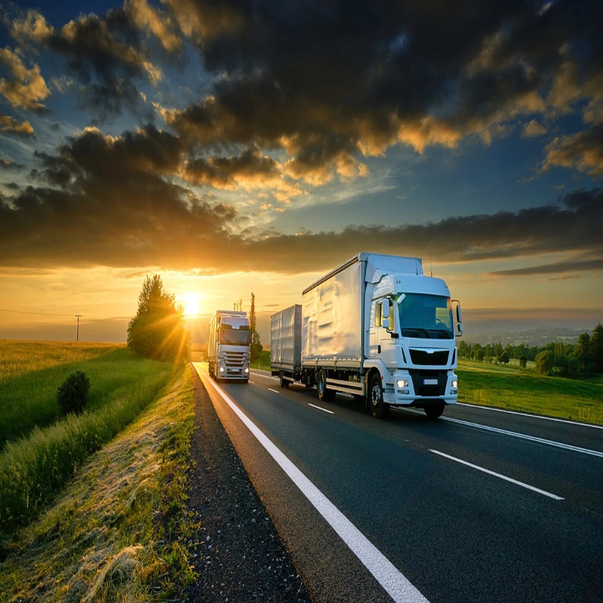 Грузовые авиаперевозки международные. Forwarding agent. Мультимодальные грузоперевозки. Логистика грузоперевозок. Экспорт.