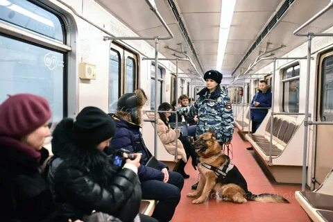 Метро щенок