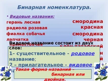 Бинарные названия растений
