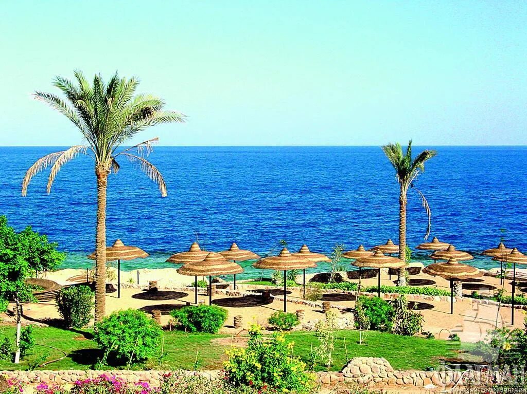 Renaissance sharm el sheikh golden view resorts. Renaissance Golden view Египет Шарм. Renaissance Golden view Beach 5* отель. Ренессанс Голден Бич Резорт Шарм-Эль-Шейх. Отель Renaissance Golden view Beach 5 Шарм-Эль-Шейх.