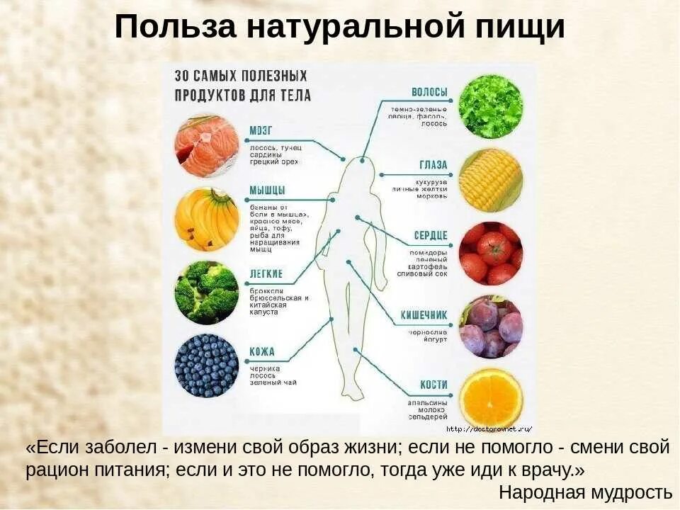 Полезные продукты для кишечника. Фрукты полезные для кишечника. Самые полезные овощи для пищеварения. Фрукт который помогает пищеварению.