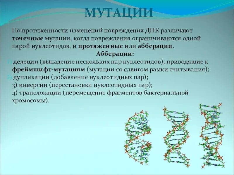 Мутационный процесс результат. Изменение структуры ДНК. Мутация ДНК. Структура ДНК человека. Изменение молекулы ДНК.