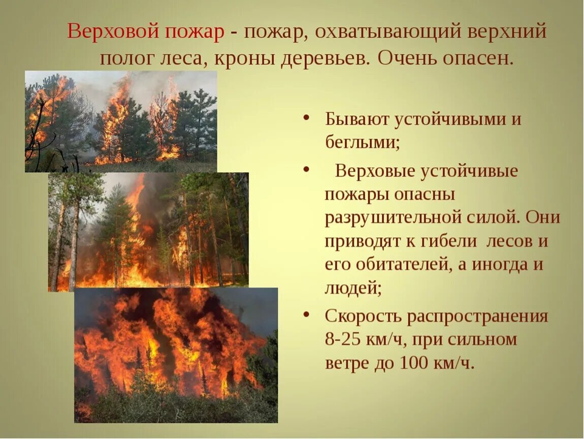Лесные пожары презентация. Презентация на тему пожар. Пожар для презентации. Слайд верховой пожар. Природные пожары кратко
