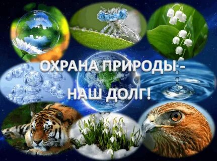 Сохраним мир живой природы