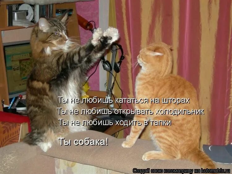 Можно меня вот такую