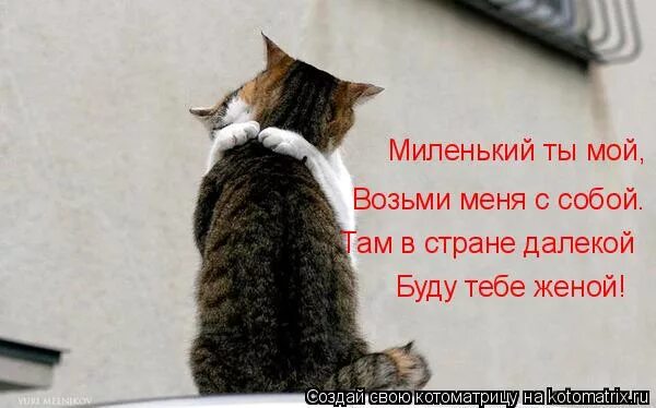 миленький мой возьми меня собой. миленький ты мой возьми. там в краю далеком буду тебе женой. миленький ты мой возьми. миленький ты мой возьми меня с собой текст.