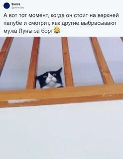 Вот тот момент