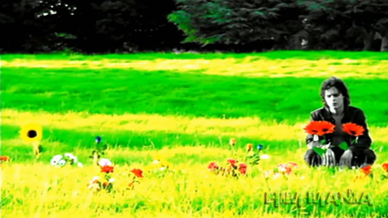 Him gone with the sin. Gone with the sin grace. Go with the sin перевод. Sin в go. Go with the sin перевод.