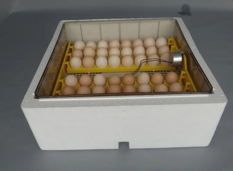 Какой инкубатор автоматический. Инкубация куриных яиц инкубатор МБФ 400. Инкубатор автоматический цифровой. Инкубатор для яиц автоматический гусиные яйца. Инкубатор Жужа.