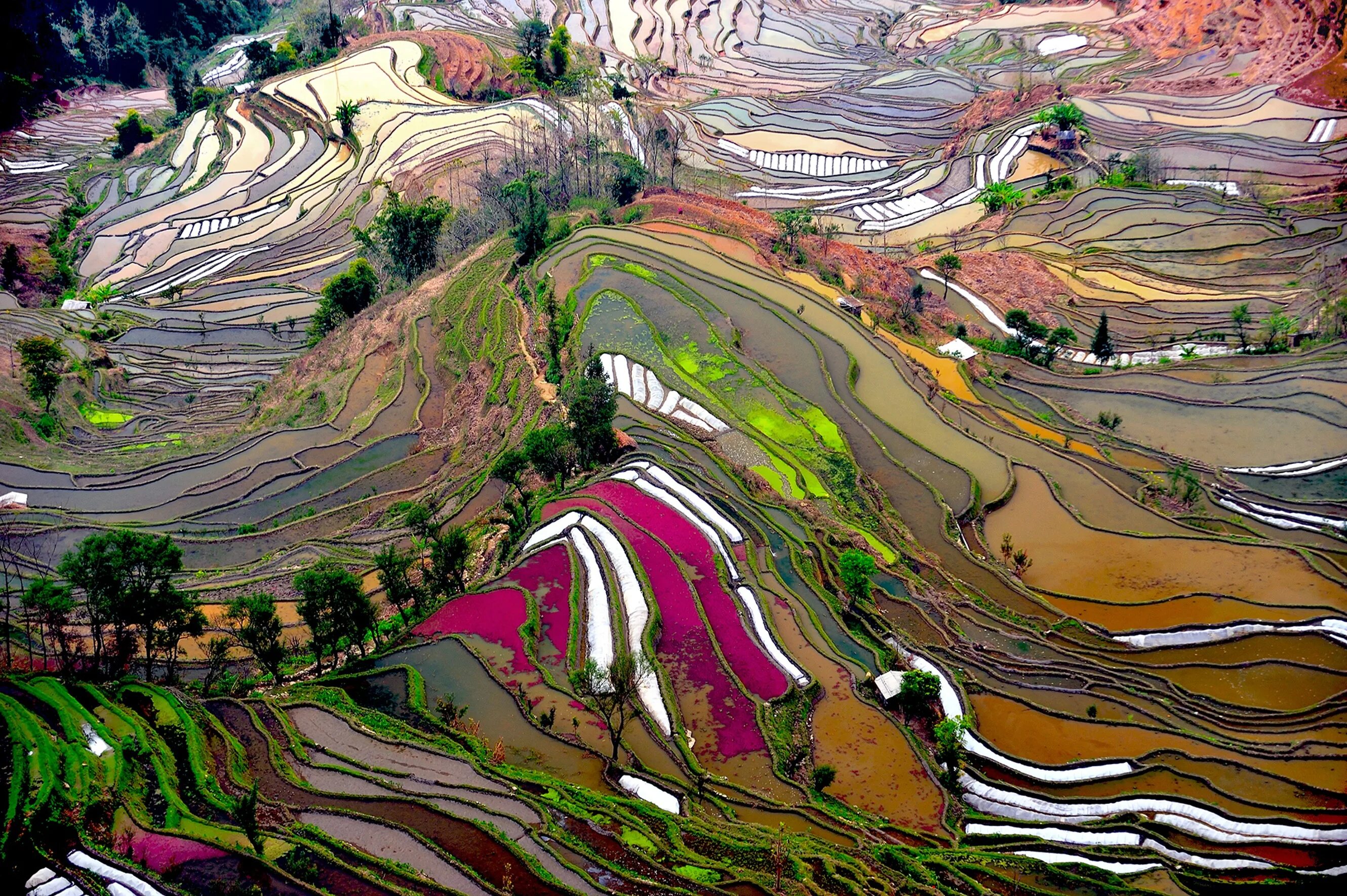 Поля террасы. Рисовые террасы Хунхэ-Хани в Китае. Рисовые террасы Юаньян, Китай. Рисовые террасы Хунхэ-Хани Юньнань. Культурный ландшафт рисовые террасы Хунхэ-Хани.