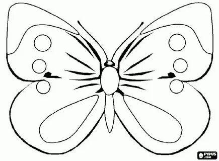 Соққыланған порно видео