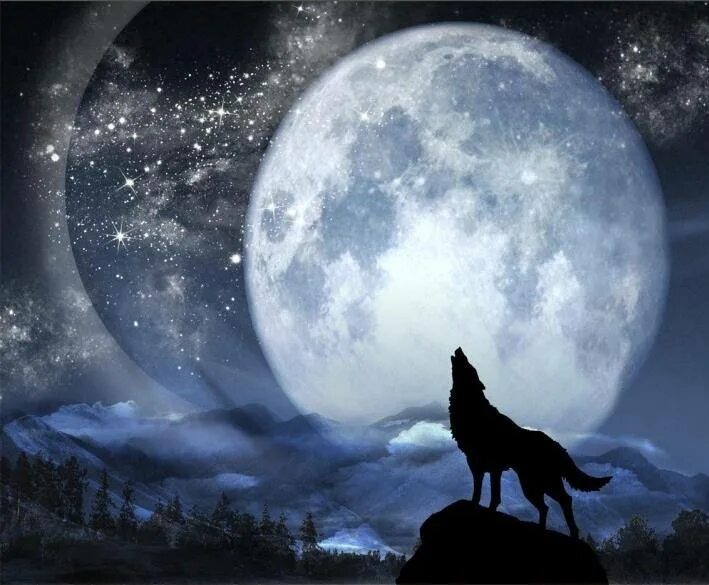 Вою под луной песня. Волк и Луна. Полнолуние волк. Волчья Луна. Волк в ночи.