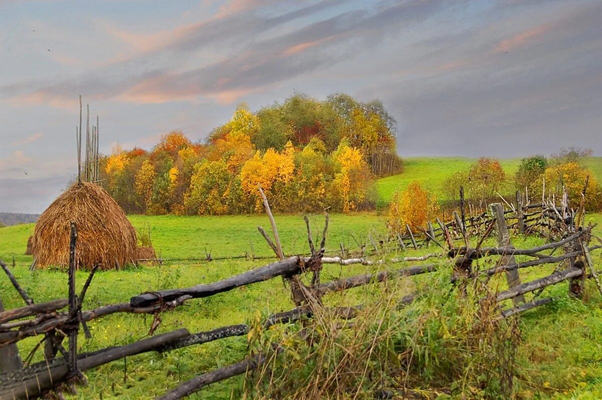 Осеннее сено. Осень в деревне. Золотая осень в деревне. Сельский пейзаж. Деревня осенью.