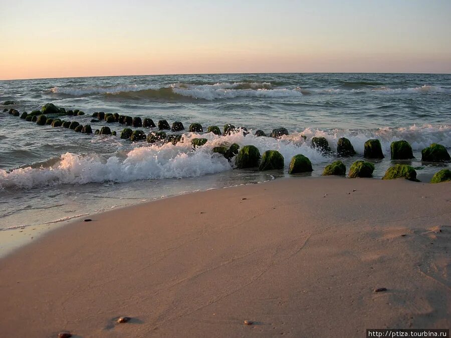 Балтийское море Зеленоградск. Балтийское море Зеленоградск осень. Балтийское море Зеленоградск июнь. Берег Балтийского моря Зеленоградск. Островок зеленоградск