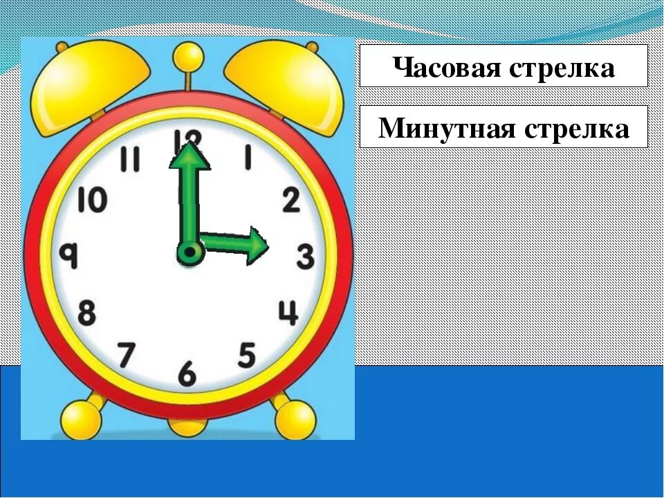 Минута часовой. Минутная стрелка на часах. Часовая и минутная стрелки. Часы минутная стрелка. Часовая и минутная стрелки часов.