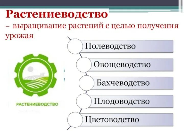 Основными отраслями растениеводства является. Отрасли растениеводства. растениеводство выращивание. важность растениеводства. структура растениеводства.