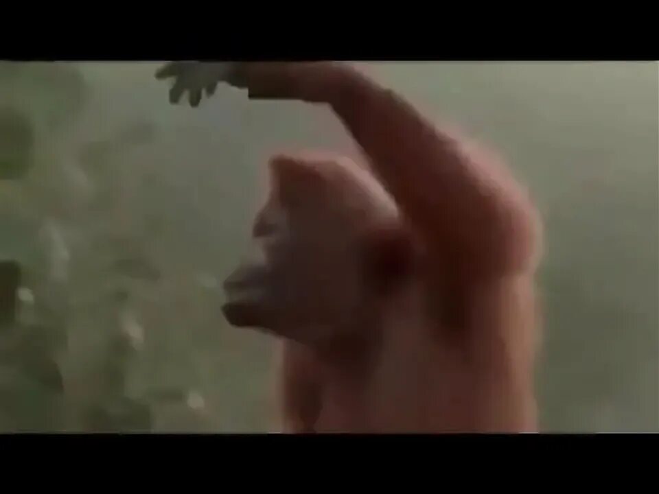 Танцующие обезьяны музыка