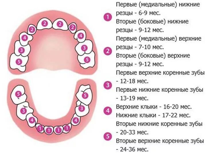 Можно комаровский. Можно комаровский