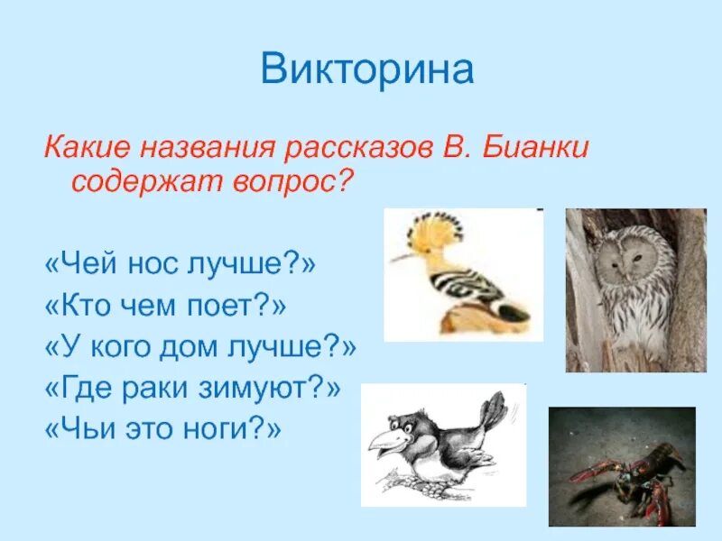 Какой рассказ принадлежит носов. Бианки в.в. "чей нос лучше?". План к рассказу чей нос лучше. Чей дом лучше Бианки.