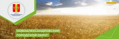 Сайт новоалександровского муниципального