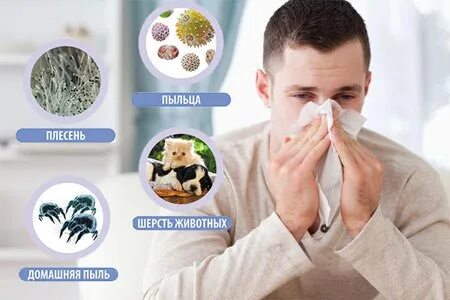 Бытовая аллергия