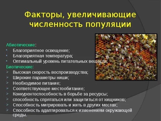 Какой из факторов регулирует численность популяций. Факторы влияющие на численностьgjgekzwbb. Факторы влияющие на популяцию. Факторы определяющие численность популяции. Факторы регулирующие численность.