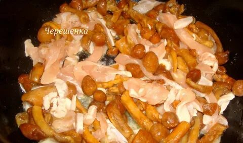 Куриные грудки с опятами