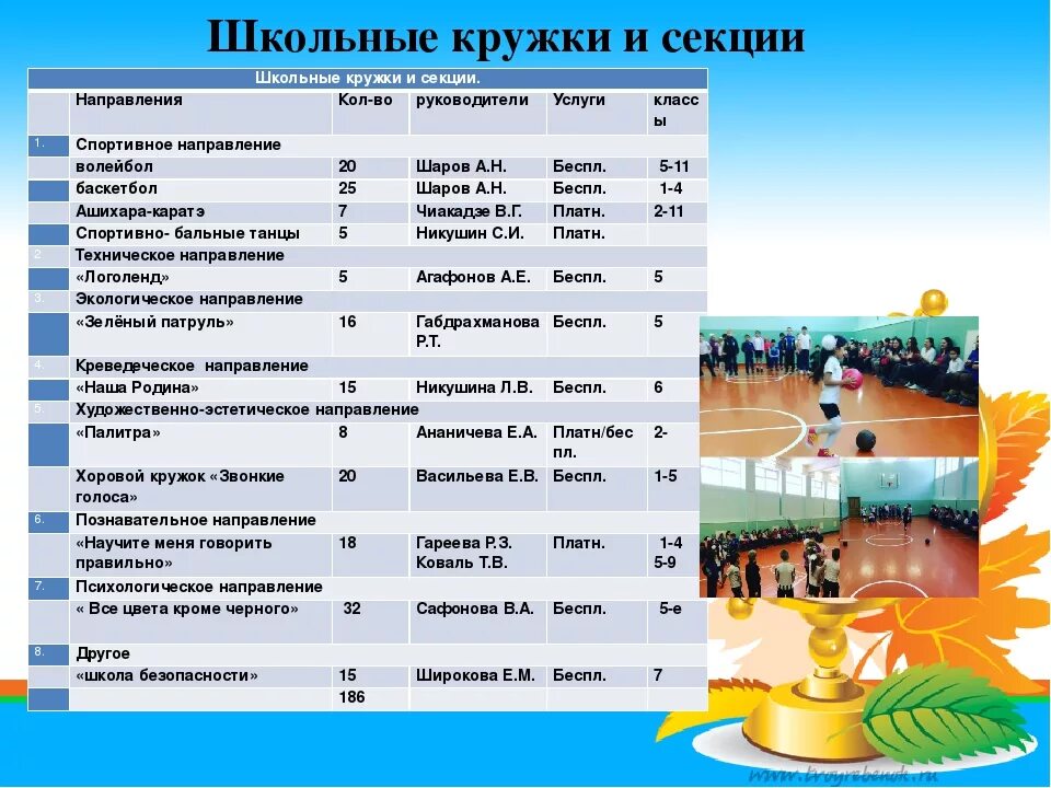 Дополнительные общеобразовательная программа физкультурно спортивной