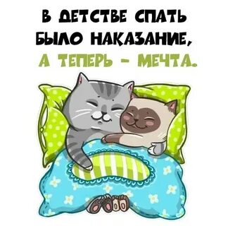 Мечта теперь