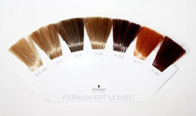 Игора оттеночный. Igora Expert Mousse 9.5-4. Тонирующий мусс Schwarzkopf professional Igora Expert Mousse. Igora Expert Mousse палитра цветов. Мусс игора тонирующий палитра.