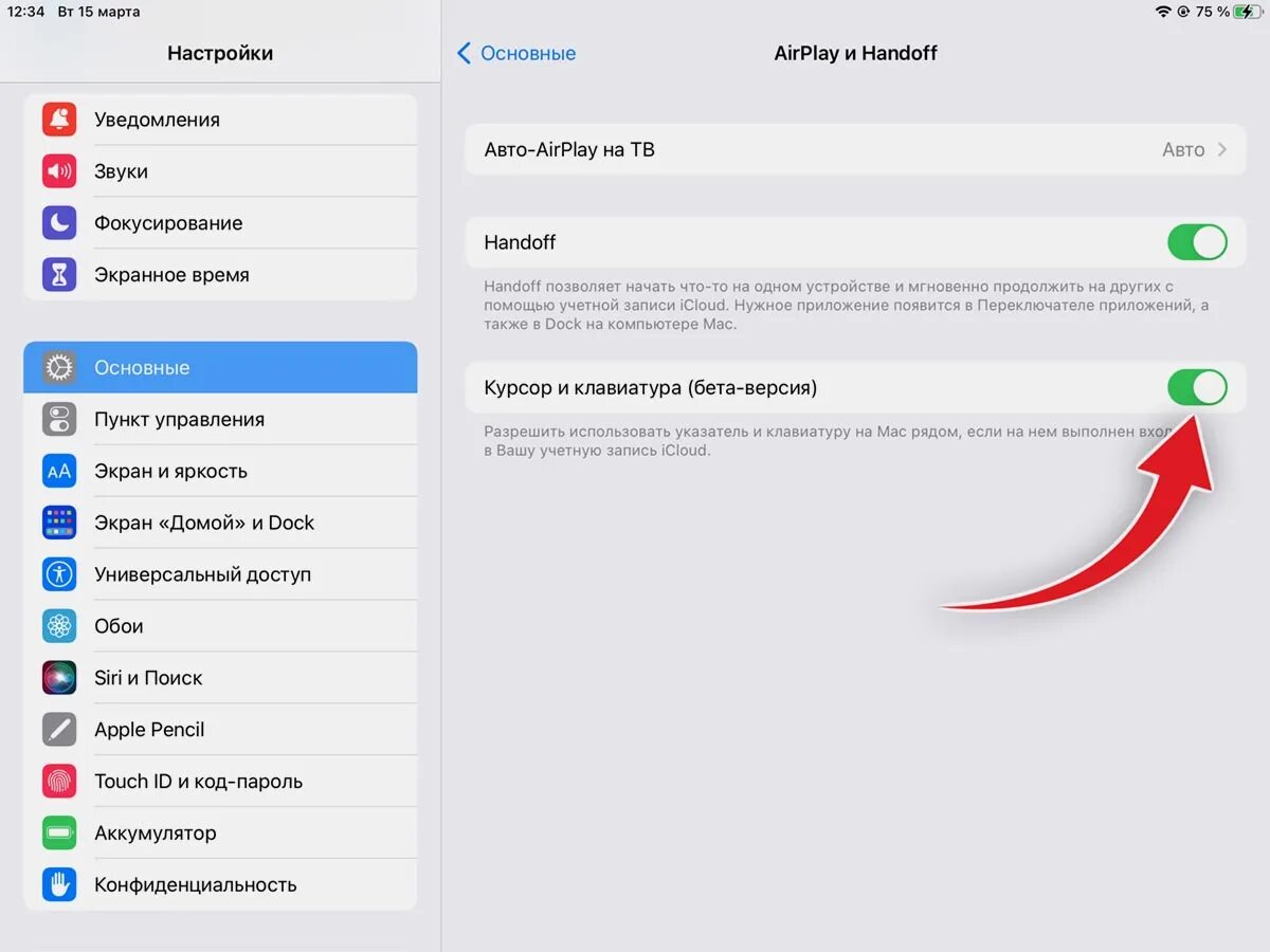 Airplay и Handoff. Как включить курсор. Трансляция экрана компьютера на IPAD. Включить курсор на айфоне. Как настроить airplay