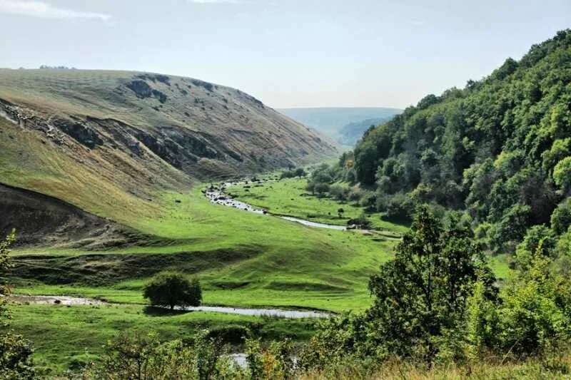 Плай молдова. Баланешты гора Молдавия. Рельеф Молдовы. Гора Бэлэнешть Молдова. Ландшафт Молдовы.