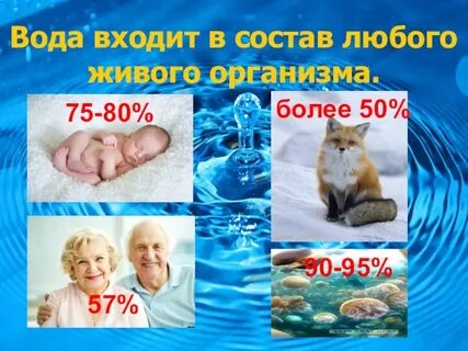 Класс презентация жизнь в воде