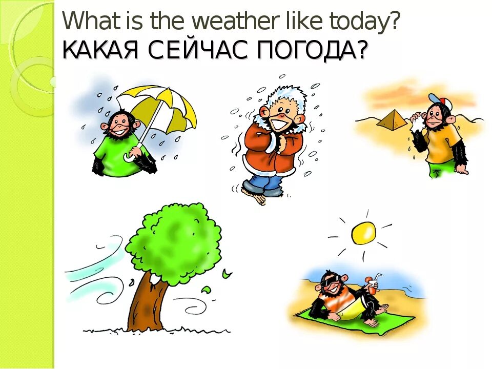 Weather spotlight 5. Погода на английском для детей. Погода урок на английском. Погода на английском. Погода на английском картинки.