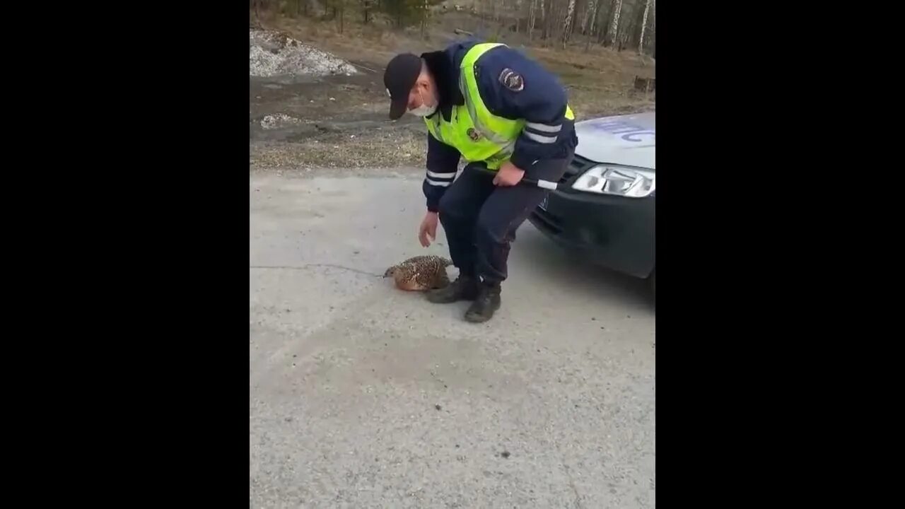 Денис антошин глухарь дпс. Пост дпс красноярский край. Пост гаи где снимали глухаря. Пост дпс алтуфьевское шоссе. Глухарь пост дпс.