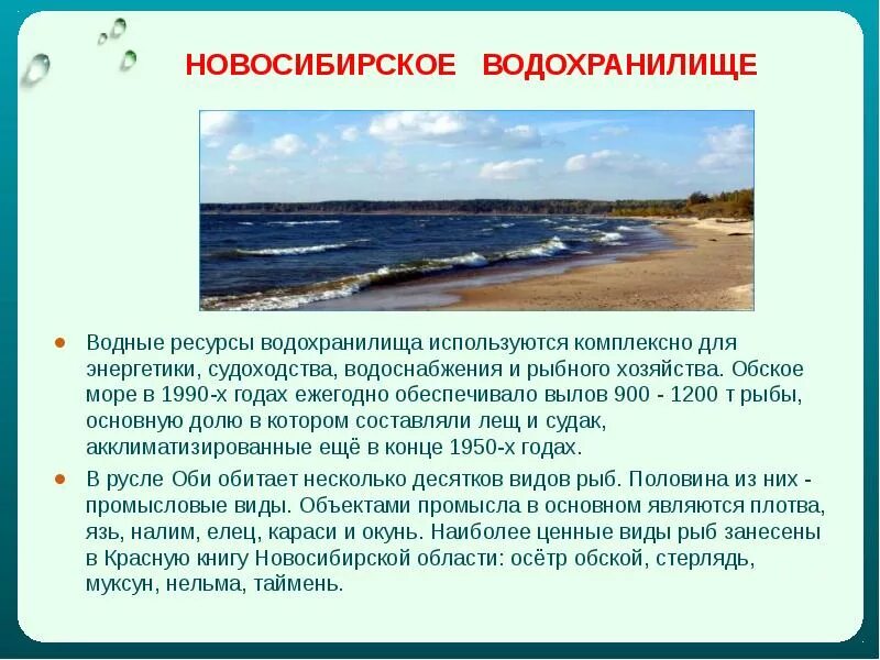 Водные объекты 2 класс окружающий мир. Обское водохранилище информация. Рассказ о водохранилище. Водные богатства Новосибирской области. Водоемы Новосибирской области презентация.