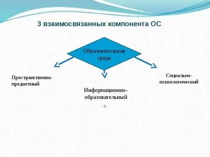 Компонентами педагогической деятельности являются ответ