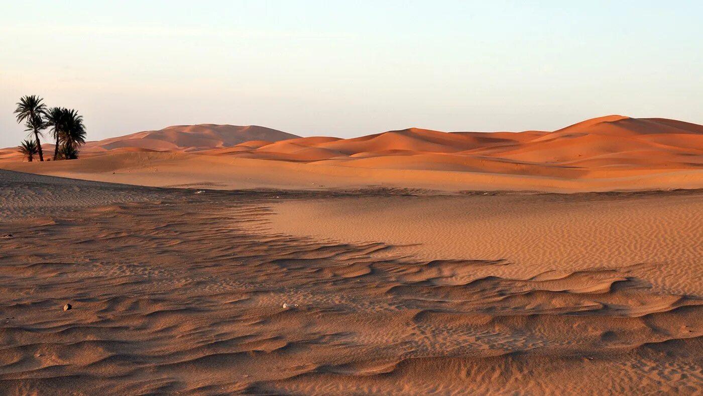 Приокеаническая пустыня. Африка пустыня сахара. Африканская пустыня на закате. Пустыня 3.4. Пустыня и море старый город.