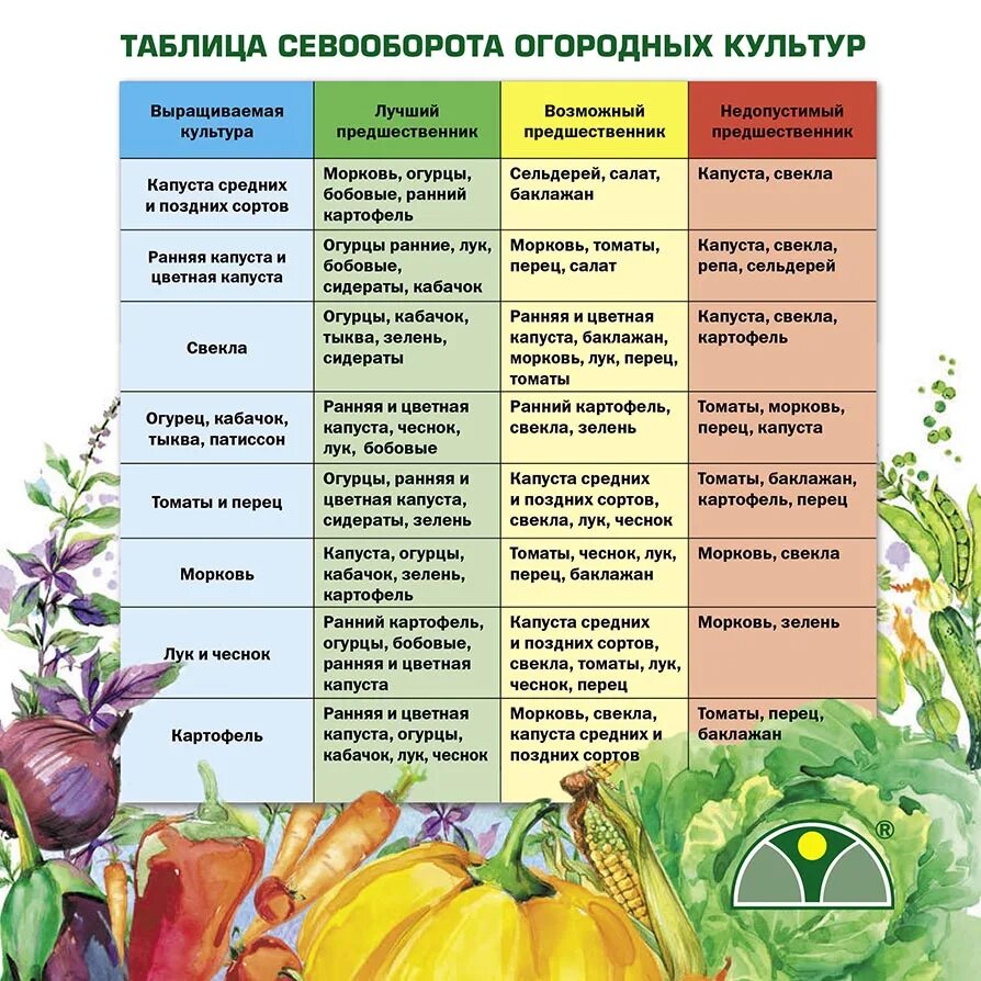 Что можно посадить на место