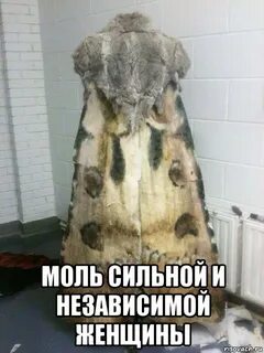 Моли твою