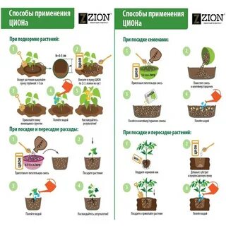 Как использовать цион для овощей