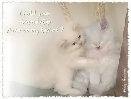 My close friend