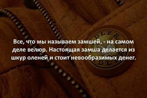 Факт самая в мире вещь